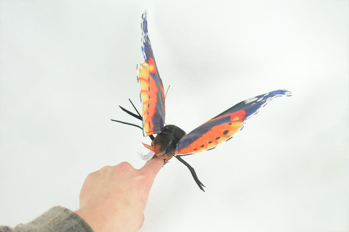 Red Admiral Butterfly, Finger Puppet, Very Nice Plush, Stuffed Insect, Realistic Figure, Educational, Toy, Kids, Gift,  15 Inches. WR33 BB317