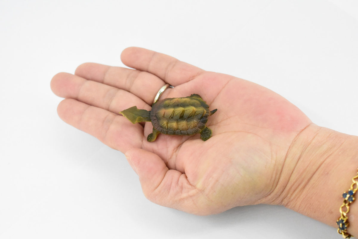 Alligator Snapping Turtle,  Matamata Turtle, Hand Painted, Rubber Reptile, Realistic Toy Figure, Diorama Model, Replica, Kids, Educational,  2 Inches.