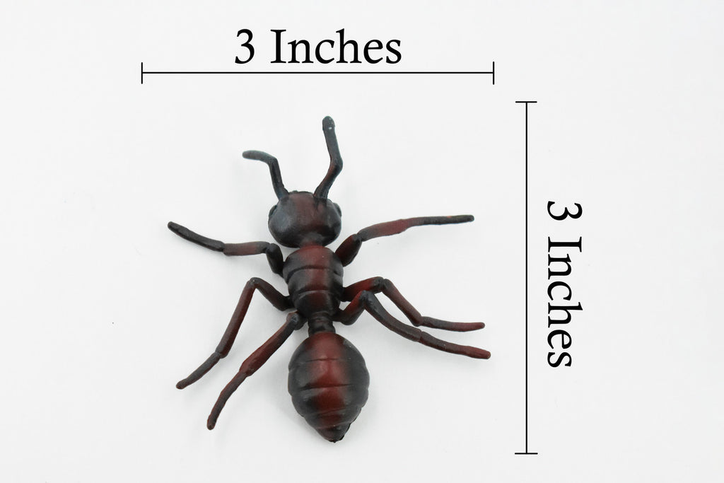 Red Fire Ant, Ginger ant, Very Nice Design, Educational, Hand Painted, Realistic Rubber Insect, Toy Figure, Diorama Model, Kids, 3 Inches. 
