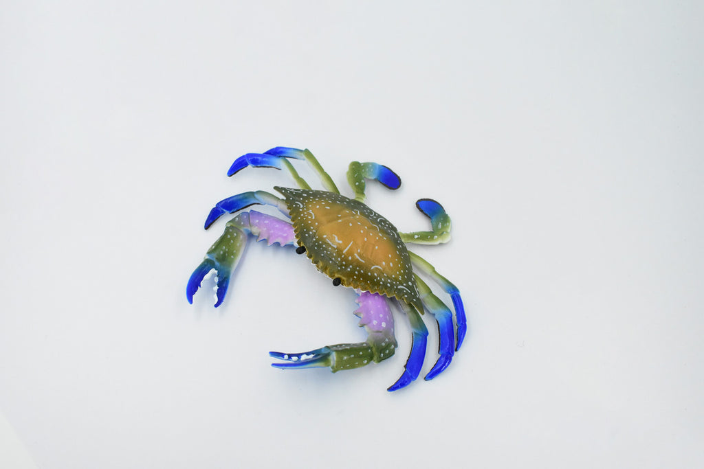 Crab, Blue Crab, Museum Quality, Rubber Crustacean, Hand Painted, Realistic Toy Figure, Model, Replica, Kids, Educational, Gift,       6"       CH161 BB111