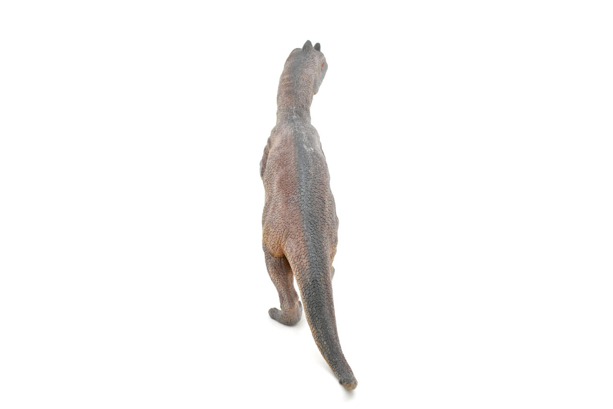 Ceratosaurus, Dinosaur, Jurassic period, Museum Quality, Realistic, Educational, Hand Painted, Lifelike Design, Diorama Model, Replica, Toy, Gift     14 Inches      CWG160 BB36