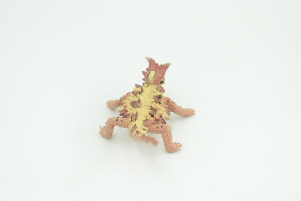 Thorny Dragon, Devil Lizard, Museum Quality, Educational, Hand Painted, Rubber Reptile, Toys,  Kids, Gift,     4 1/2 Inches.   CH730 BB184