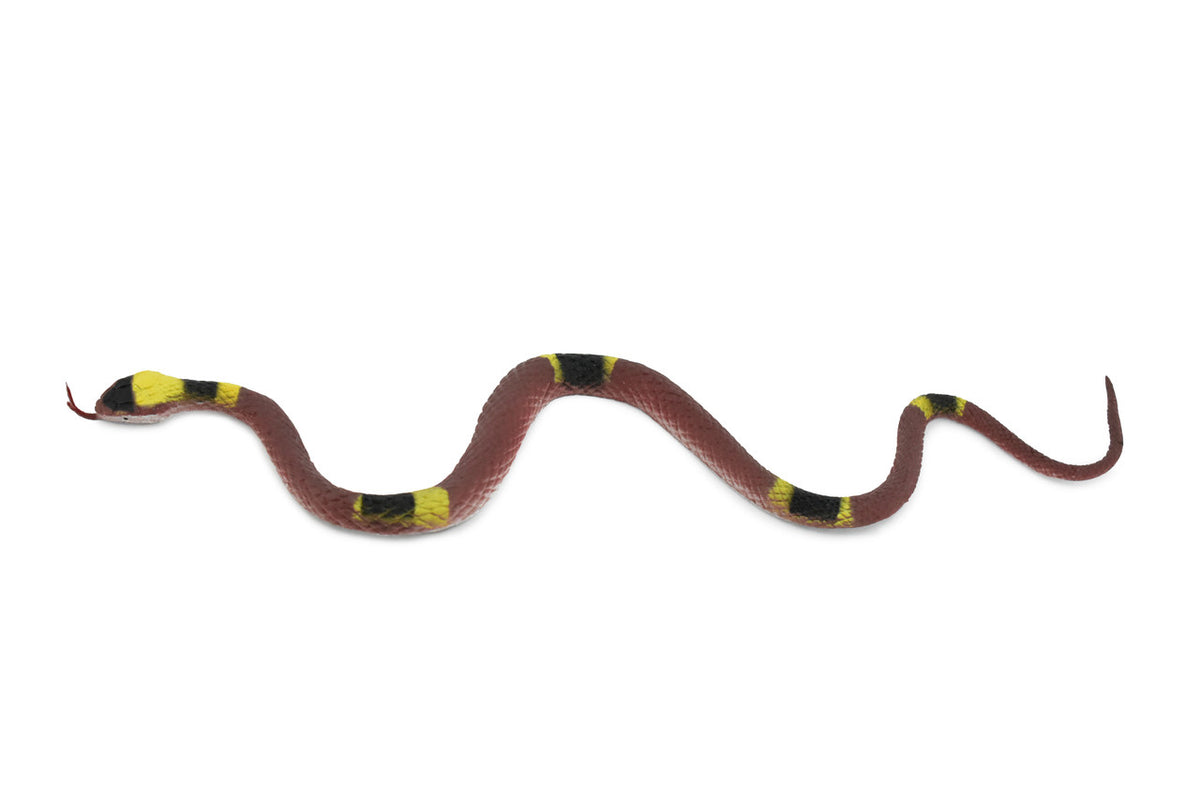 Banded Water Snake, Rubber Reptile, Educational, Realistic Hand Painted, Figure, Lifelike Model, Figurine, Replica, Toy,   10 Inches  
