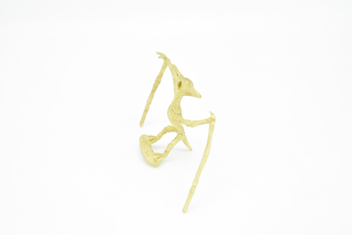 Pteranodon Dinosaur, Skeleton, Very Nice Plastic Replica    4"    F3285 B61
