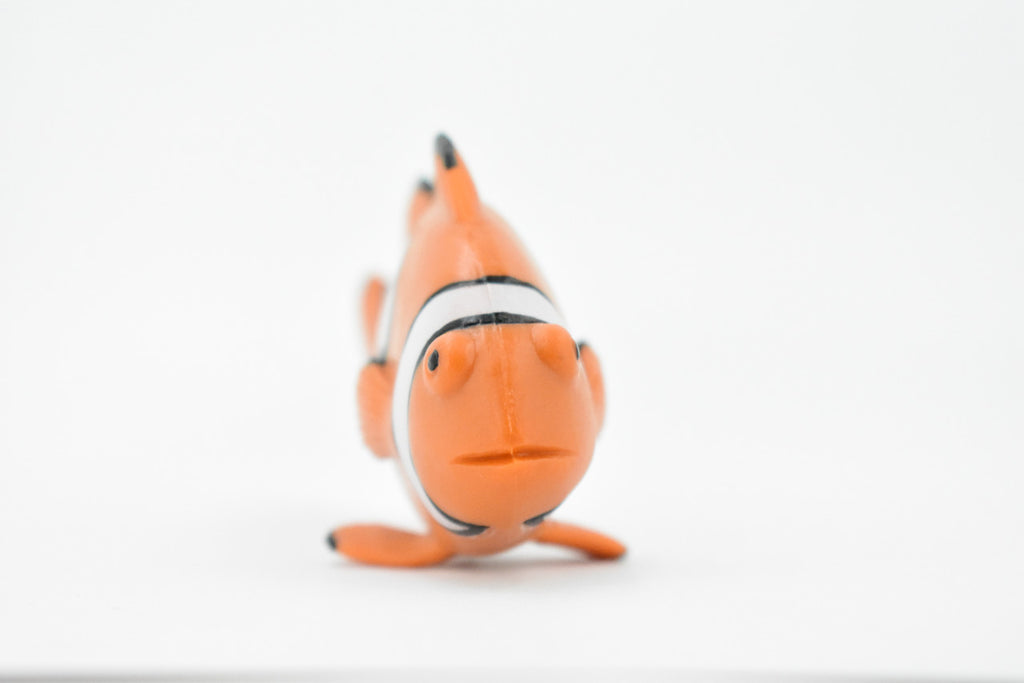 Fish, Clownfish, Anemonefish, Museum Quality, Hand Painted, Rubber Fish, Realistic Toy Figure, Model, Replica, Kids, Educational, Gift,    4 1/2"     CH466 BB151