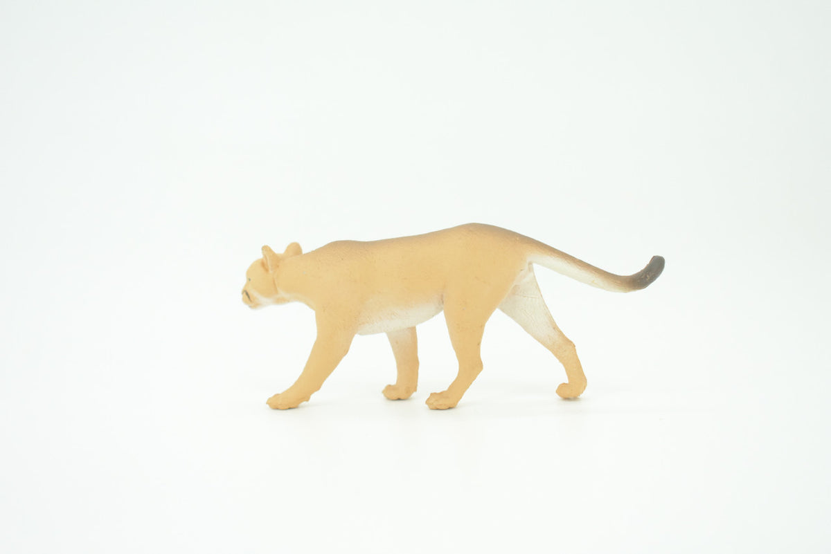 Puma, Cougar, Mountain Lion, American Lion, Hand Painted, Educational, Rubber Animal, Realistic Figure, Lifelike, Gift,    3 1/2"    SF47 B15