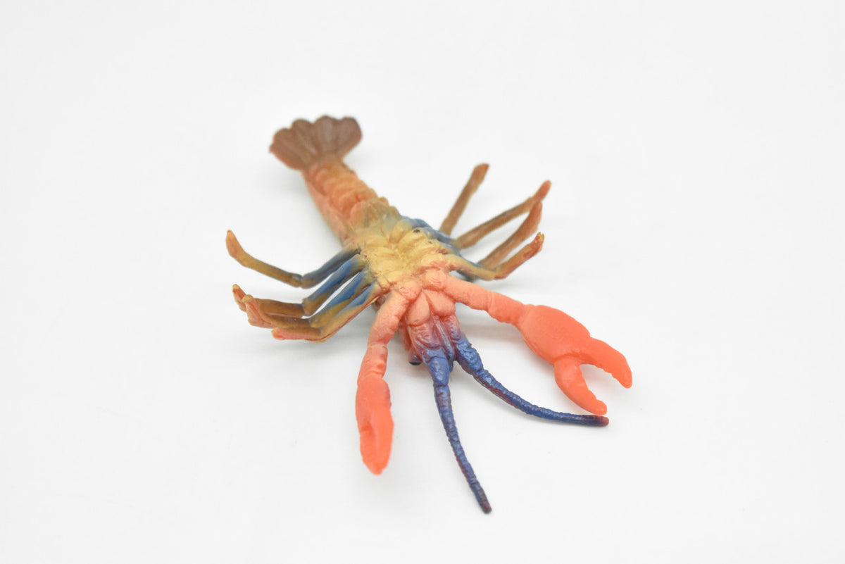 Lobster, Homarus americanus, Hand Painted, Realistic, Solid Rubber, Saltwater, Educational Model,  Figure, Lifelike, Diorama Model, Replica, Toy,  3 Inches.