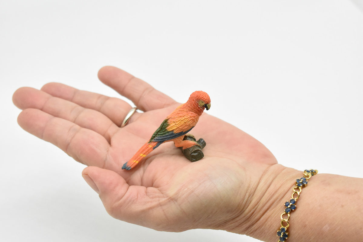 Scarlet Macaw, Red Parrot, Ara Macao, Museum Quality, Realistic, Rubber Bird Design, Educational, Hand Painted, Figure, Lifelike, Model, Figurine, Replica,  3 Inches 