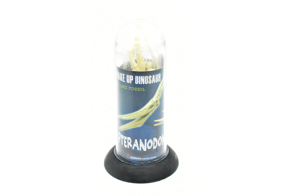 Pteranodon Dinosaur, Plastic Skeleton Model with Stand   10"  -  F1807 B312