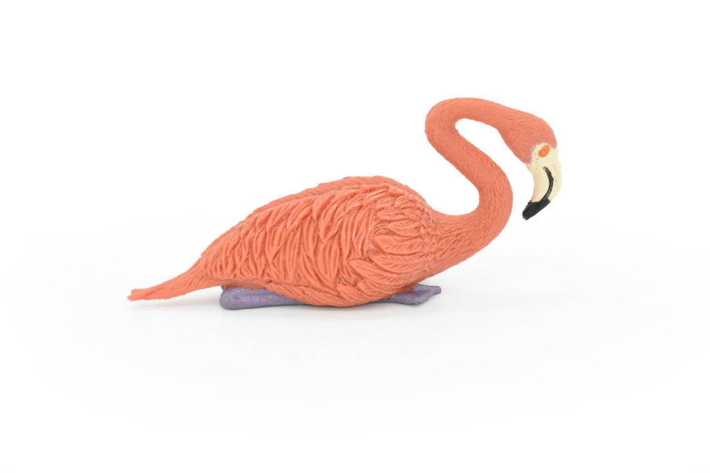 Flamingo, Flamingos, Bird, Very Realistic Rubber Reproduction, Hand Painted Figurines     3"      CH141 B245