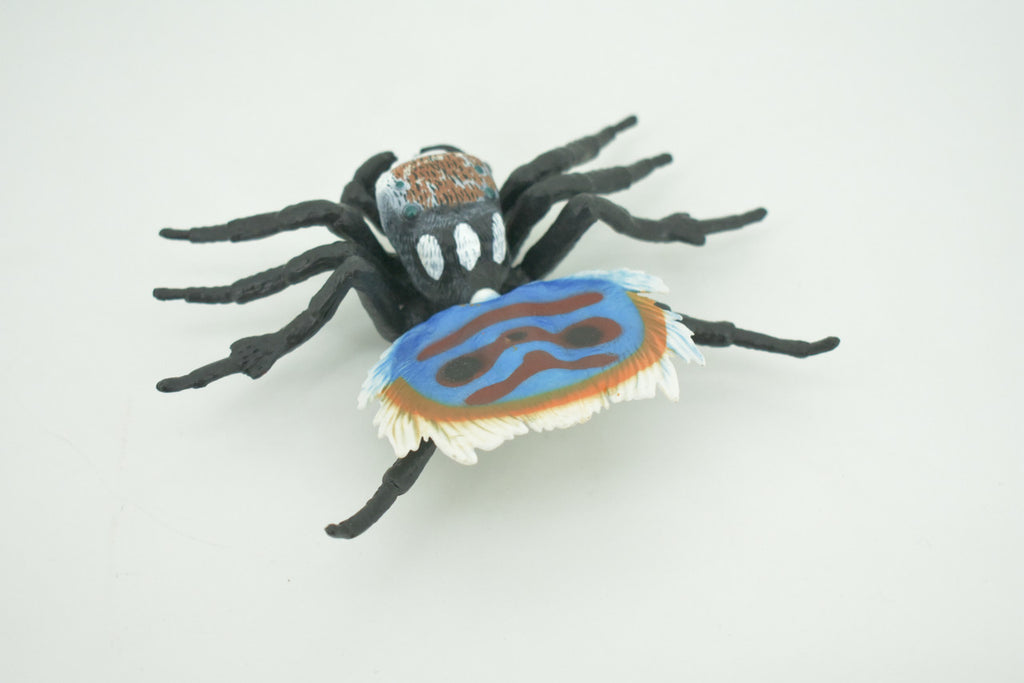 Peacock Spider, Jumping Spiders, Maratus, Museum Quality, Hand Painted, Realistic, Rubber, Insect, Figure, Model, Toy, Kids, Educational, Gift    4 1/2"    CH300 BB181