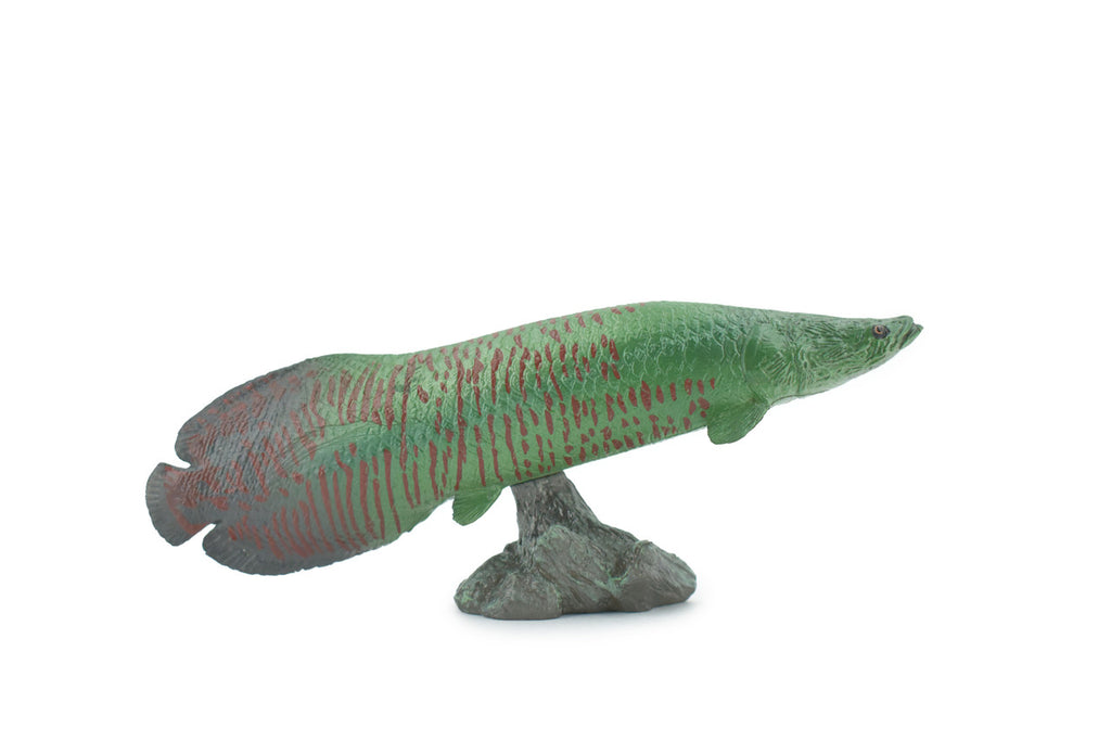 Arapaima, Pirarucu, or Paiche, Museum Quality, Hand Painted, Rubber Fish, Realistic Figure, Model, Replica, Toy, Kids, Educational, Gift,      7 "   CH501 BB155