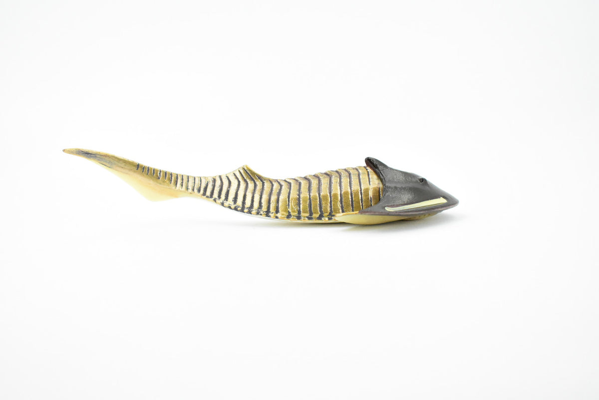 Cephaiaspis, Extinct Fish, Prehistoric, Museum Quality, Rubber Fish, Hand Painted, Realistic Toy Figure, Diorama Model, Kids, Educational,  5 Inches.