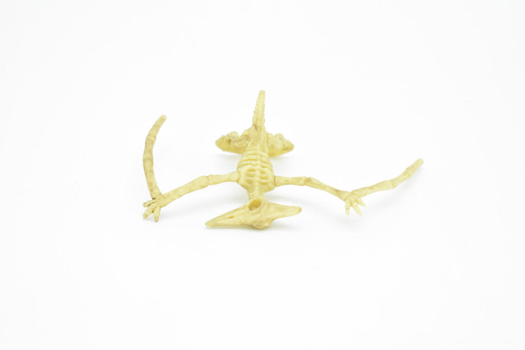 Pteranodon Dinosaur, Skeleton, Very Nice Plastic Replica    4"    F3285 B61