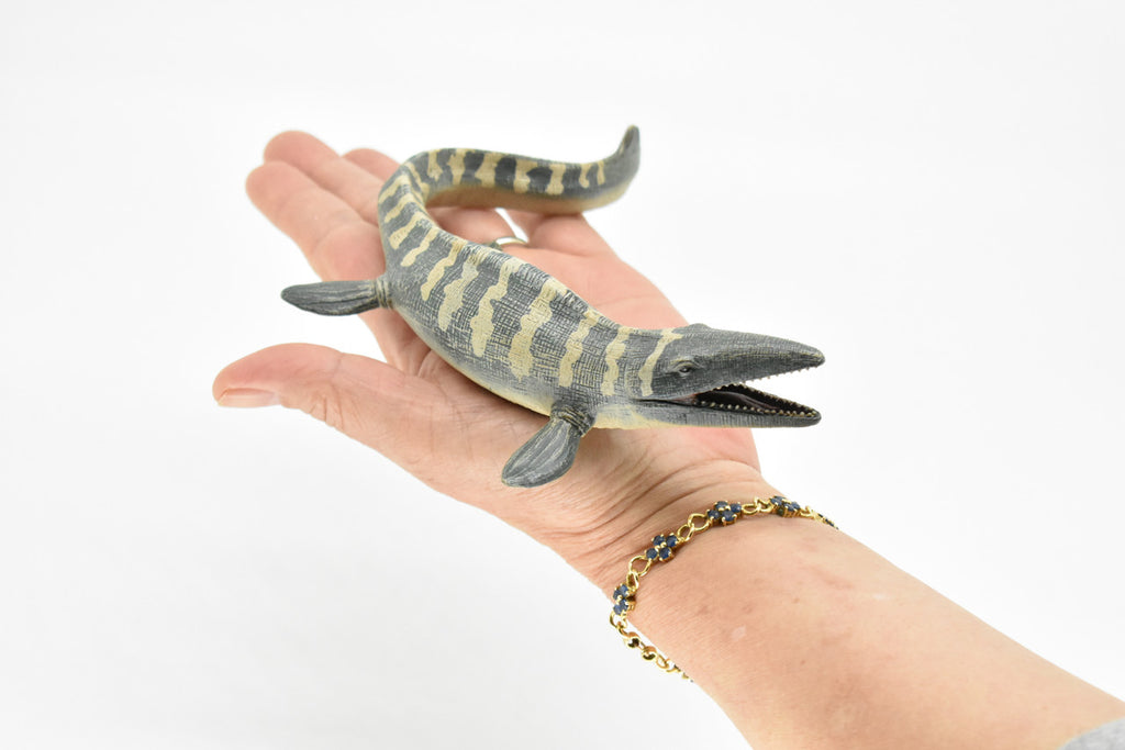 Tylosaurus Dinosaur, Realistic Toy Model Plastic Replica, Kids Educational Gift    6"   M025B634