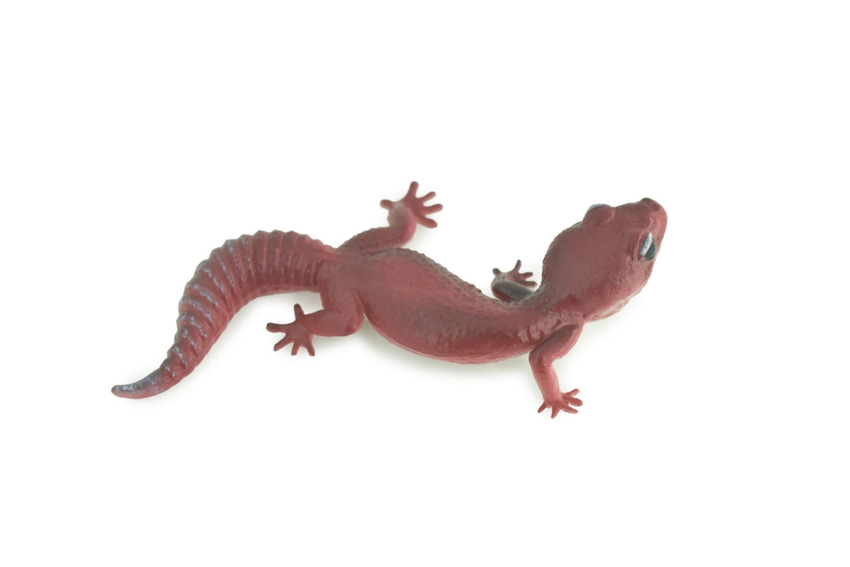  Gecko, Gargoyle gecko, Museum Quality, Educational, Hand Painted, Rubber Lizard, Peking Gecko, Realistic Reptile, Diorama, Toy, Kids, Gift, 4 Inches. CH1020 BB218