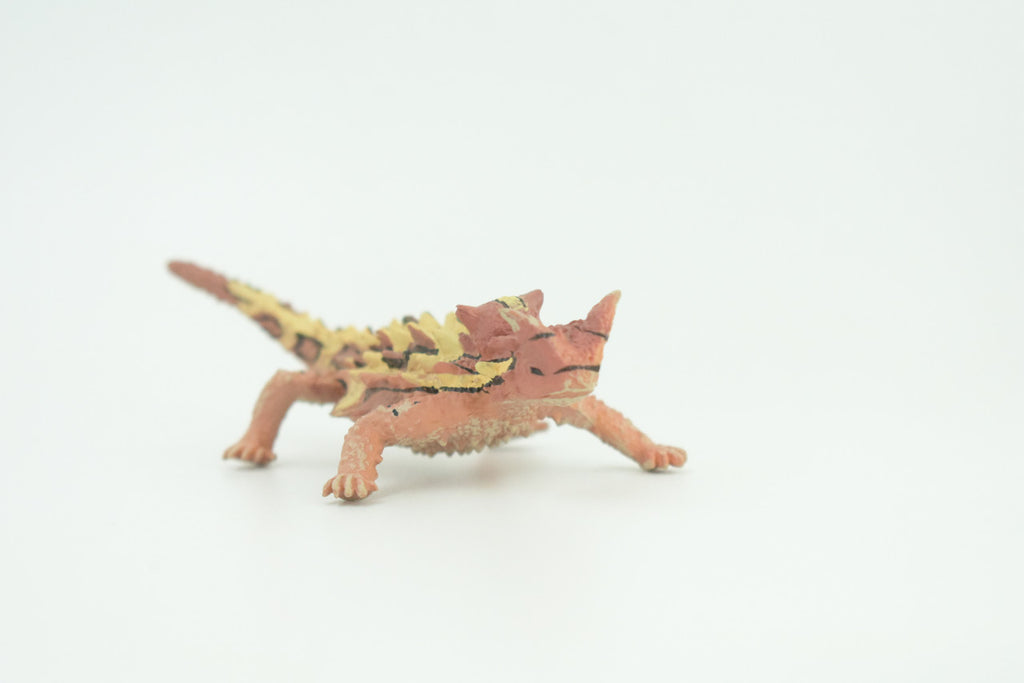 Thorny Dragon, Devil Lizard, Museum Quality, Educational, Hand Painted, Rubber Reptile, Toys,  Kids, Gift,     4 1/2 Inches.   CH730 BB184