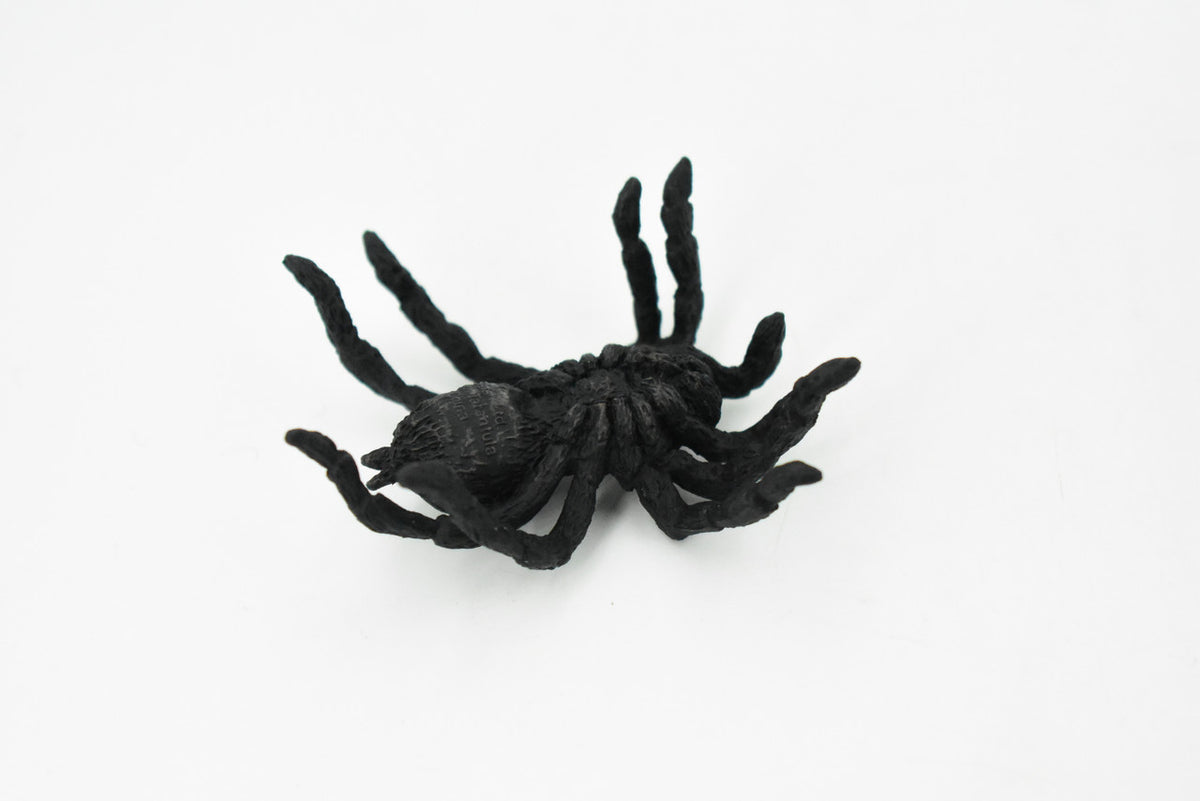 Tarantula, Spider, Black, Very Nice Rubber Insect, Educational, Hand Painted, Realistic, Replica, Toys, Kids, Gift,   2 1/2 Inches.    F3128 B225