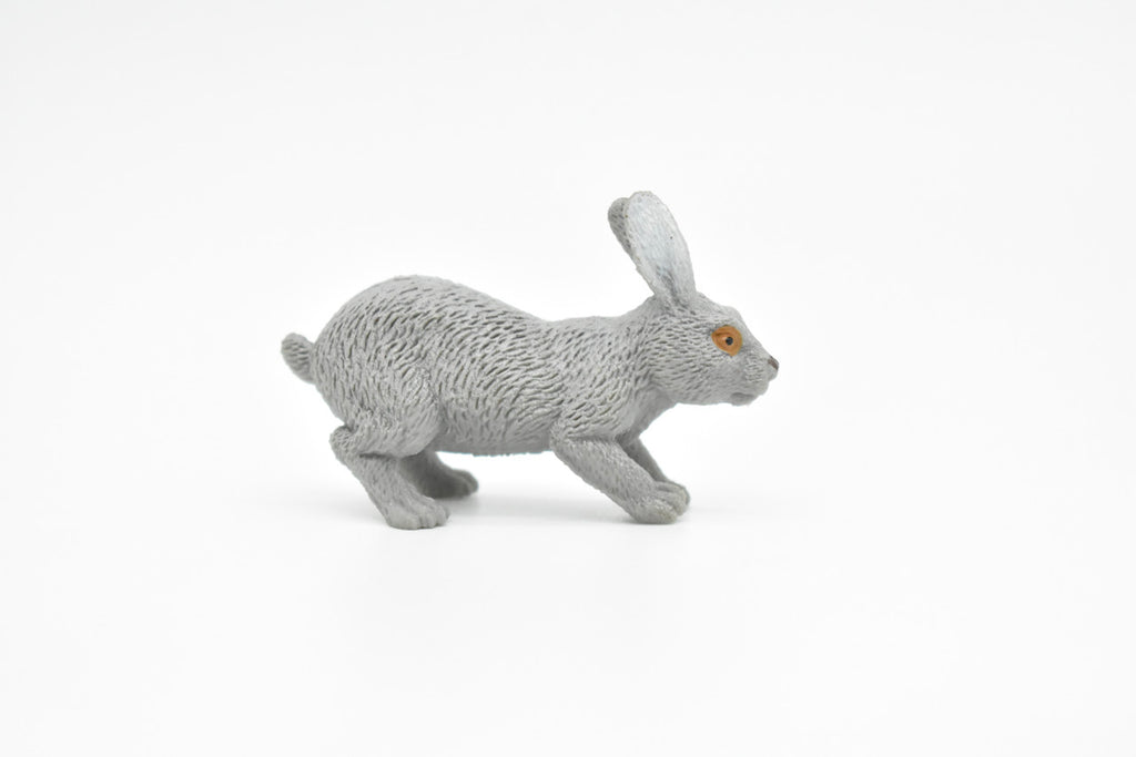 Rabbit, Hare, Leporidae, Bunny, Very Nice Hard Rubber, Realistic, Very Nice Design, Animal, Educational, Diorama Model, Lifelike, Toy, Gift,    2 Inches.    CWG111 B237