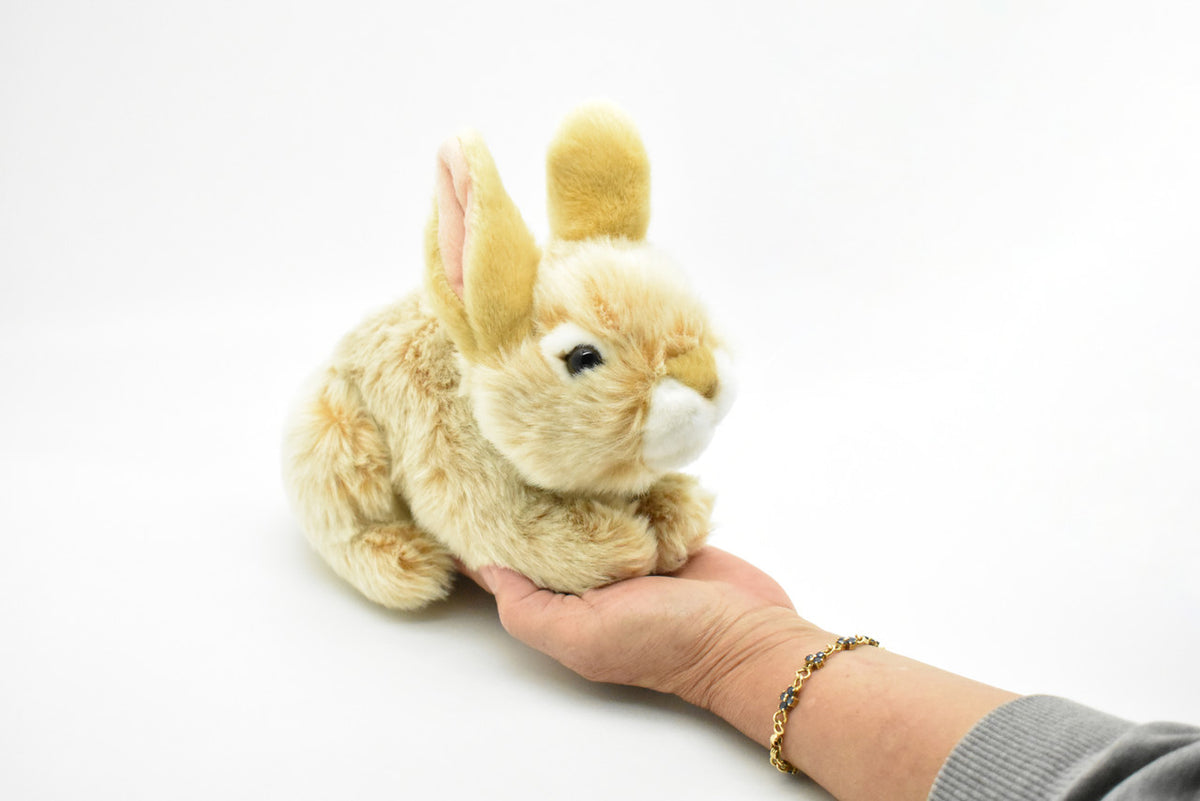 Rabbit, Very Nice Plush, Stuffed Animal, Educational, Toy, Kids, Realistic Figure, Lifelike Model, Replica, Gift,      11" 