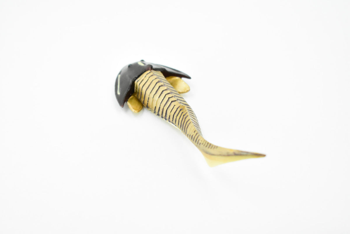 Cephaiaspis, Extinct Fish, Prehistoric, Museum Quality, Rubber Fish, Hand Painted, Realistic Toy Figure, Diorama Model, Kids, Educational,  5 Inches.