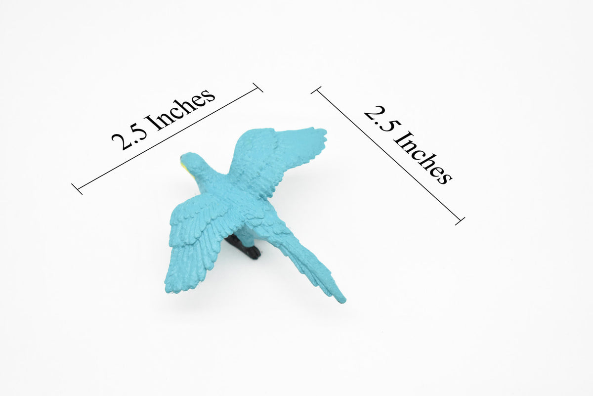 Macaw Parrot, Blue,  Very Nice Plastic Reproduction   2 1/2"    CWG297 B230