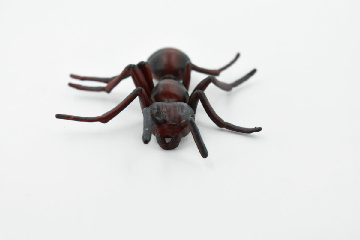 Red Fire Ant, Ginger ant, Very Nice Design, Educational, Hand Painted, Realistic Rubber Insect, Toy Figure, Diorama Model, Kids, 3 Inches. 