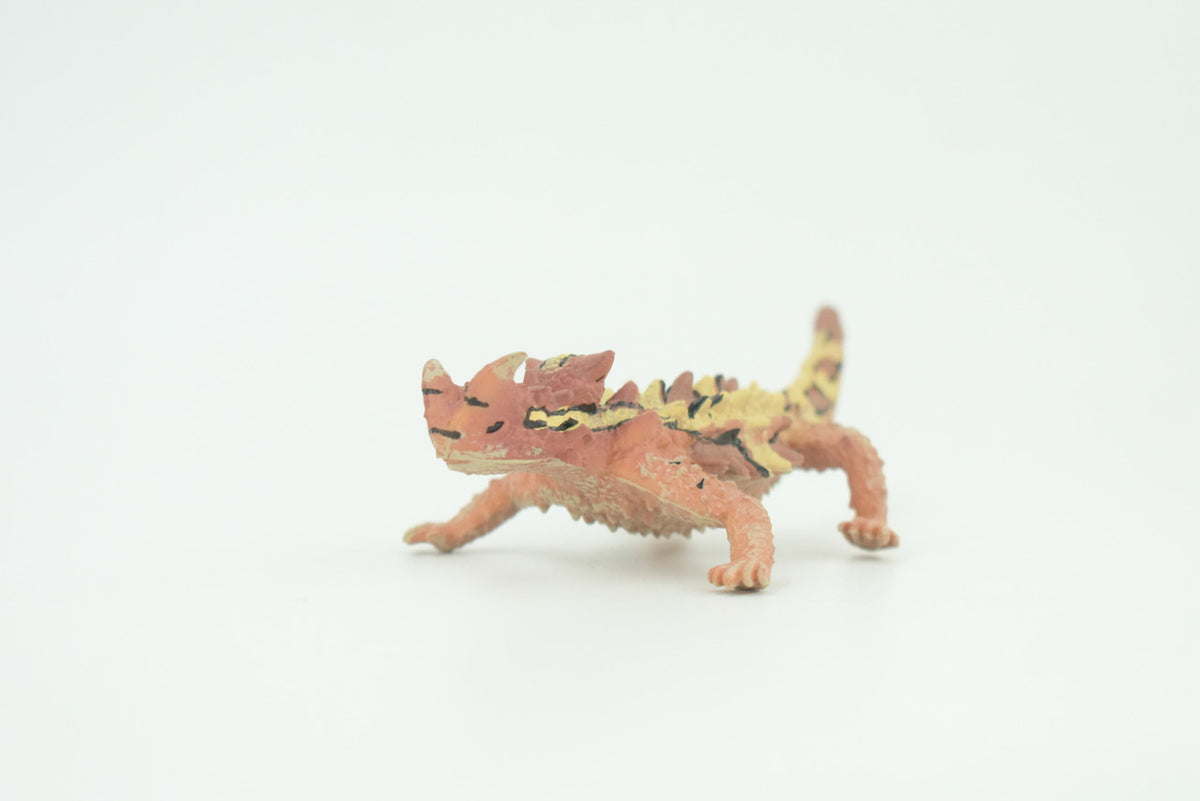 Thorny Dragon, Devil Lizard, Museum Quality, Educational, Hand Painted, Rubber Reptile, Toys,  Kids, Gift,     4 1/2 Inches.   CH730 BB184