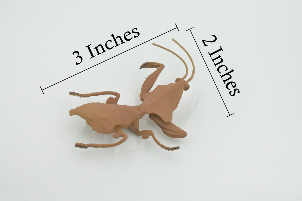 Praying Mantis, Deroplatys, Dead leaf mantis, High Quality, Rubber Insect, Educational, Realistic, Figure, Replica, Toy, Kids, Educational, Gift,      3"     CH639 BB168