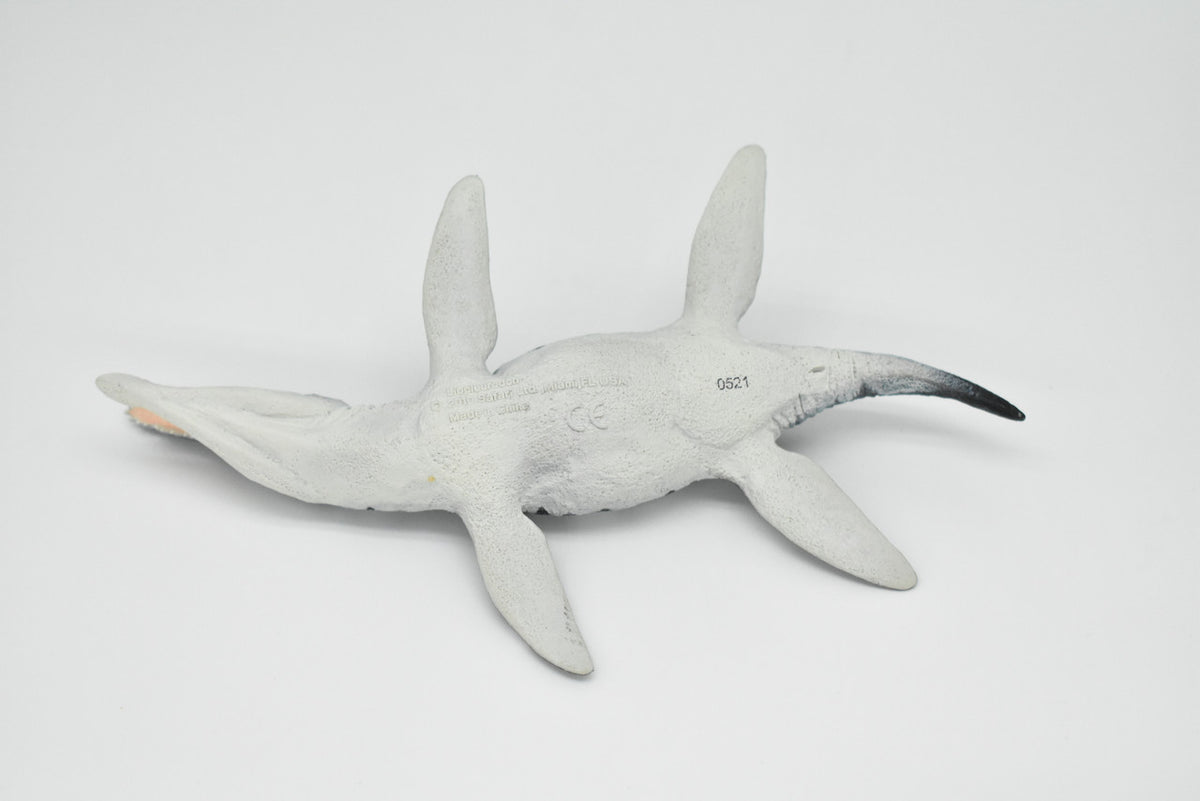 Liopleurodon, Plesiosaur, Marine Reptile, Museum Quality Plastic Reproduction Hand Painted  7"   SF02 B95