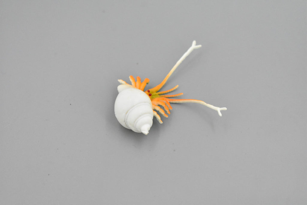 Crab, Hermit Crab, Plastic Crustaceans Design, Educational, Toy, Kids, Realistic Figure, Lifelike Model, Figurine, Replica, Gift,     2"      F595 B34
