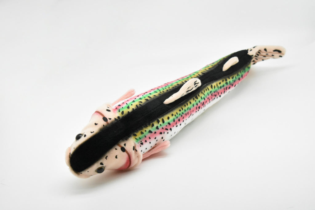 Rainbow Trout Plush Toy, Realistic Stuffed Animal, Soft Plush Fish, Stuffed Fish, Educational, Toy, Kids, Gift,      17"       F2005 BB55