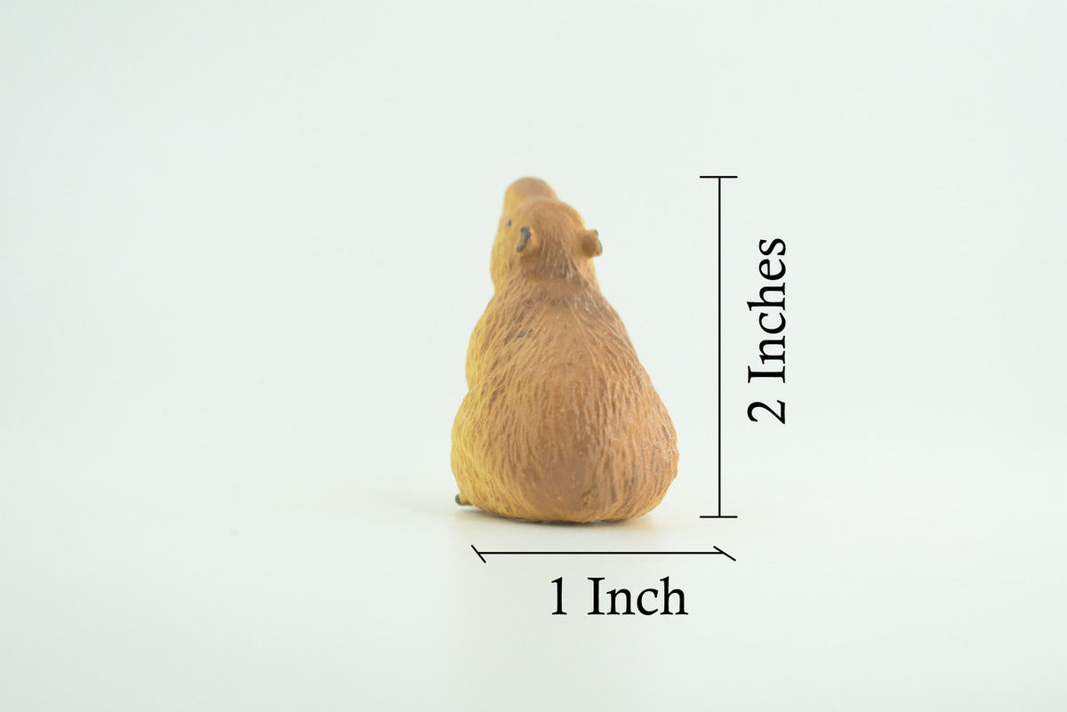 Capybara, Sitting, Giant Cavy Rodent, Nutria, Baby, High Quality, Hand Painted, Rubber Animal, Realistic, Diorama Model, Toy, Kids, Educational, Gift, 2 Inches. CH1031 BB218