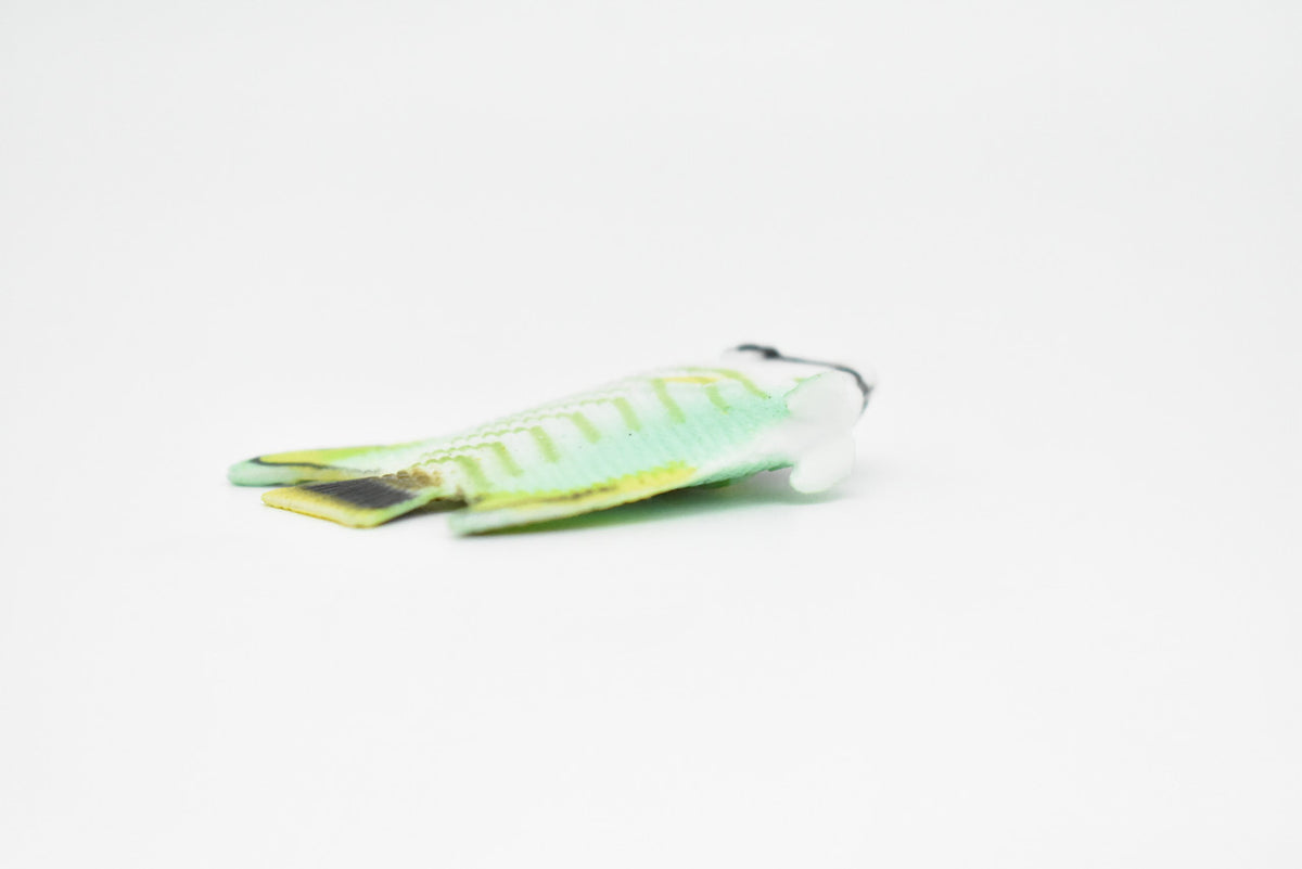 AngelFish, Tropical Fish, Pterophyllum, Ciclids, Hand Painted, Realistic, Plastic Fish Design, Saltwater, Educational, Figure, Lifelike, Diorama Model, Toy, Gift,  2 Inches.   CWG272 B46