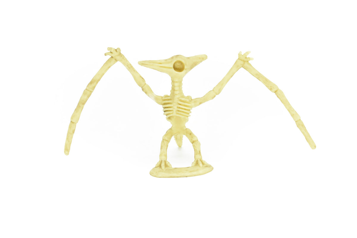 Pteranodon Dinosaur, Skeleton, Very Nice Plastic Replica    4"    F3285 B61
