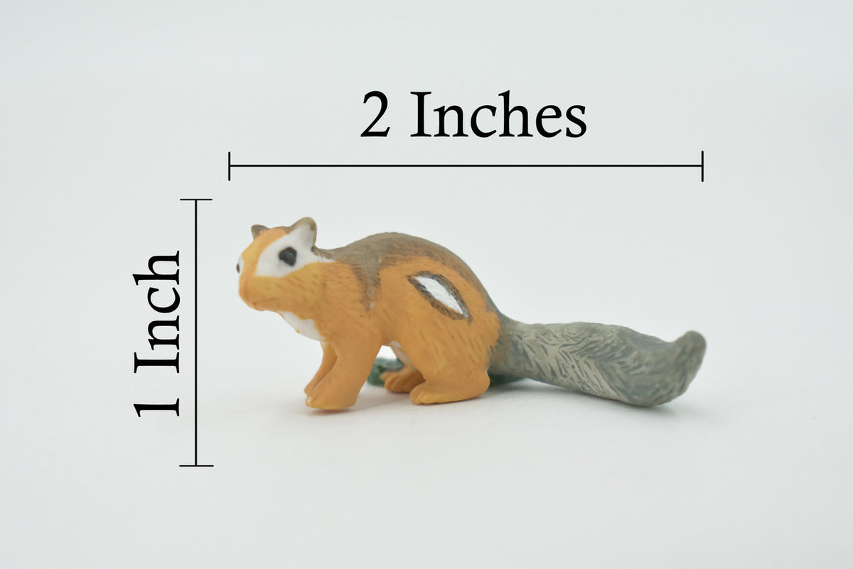 Chipmunk, chipmonk, Museum Quality, Hand Painted, Rubber Rodent, Realistic Toy Figure, Model, Replica, Kids, Educational, Gift,     2"    CH596 BB164