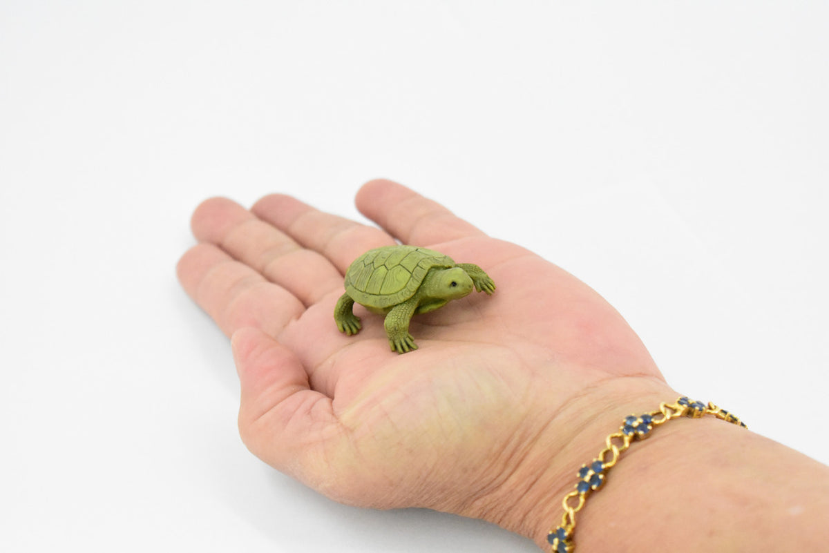 Turtle, Box Turtle, Pond Turtle, Rubber Reptile, Educational, Realistic, Figure, Lifelike Model, Figurine, Replica, Gift,       1 3/4" 