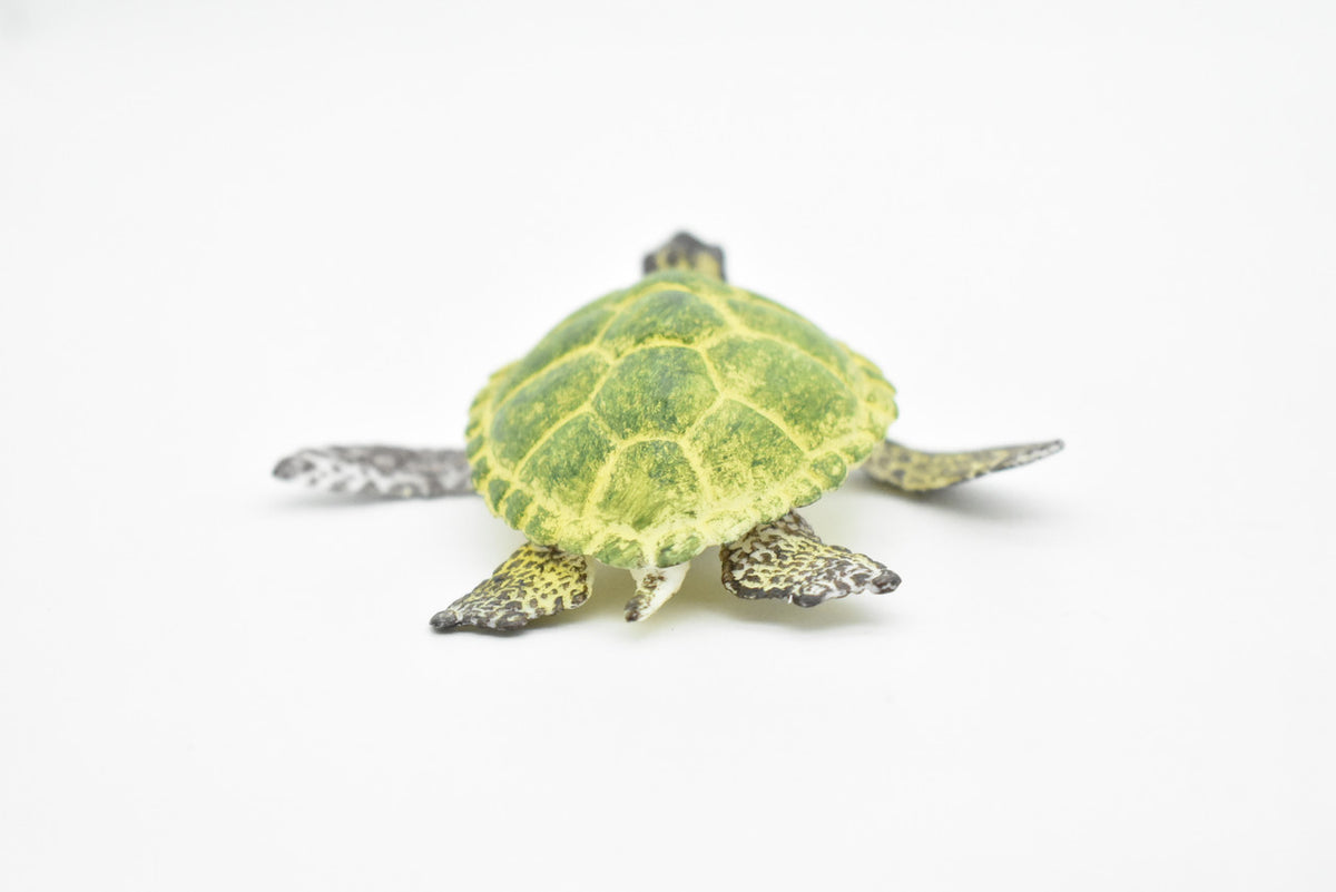 Sea Turtle Toy, Green, Museum Quality Rubber Figure, Model, Educational, Animal, Hand Painted Figurines,  4" CH055 BB78