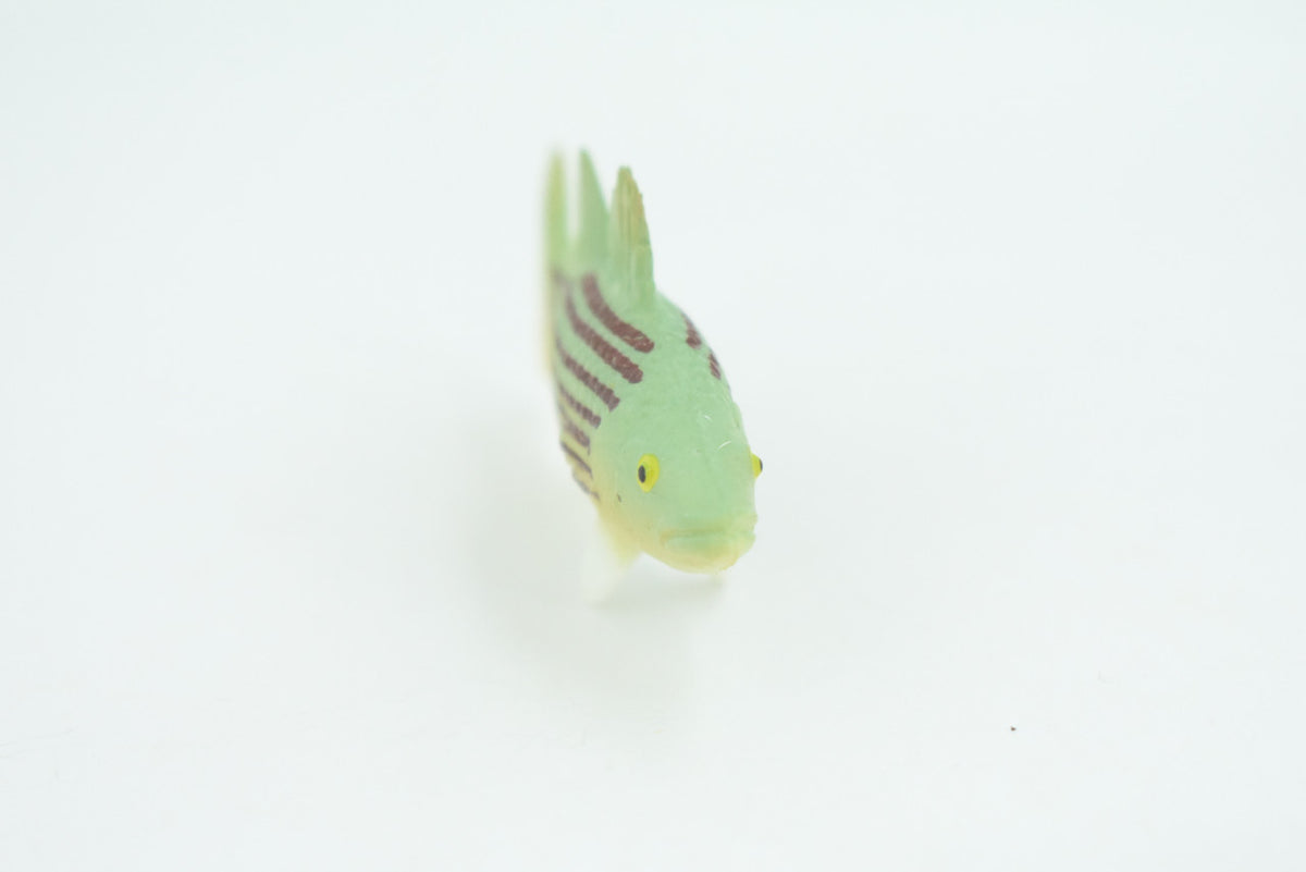 Striped Bass, Striper, Line Sider, Linesider, Rubber Fish, Educational, Toy, Kids, Realistic Figure, Lifelike Model, Replica, Gift,        2 1/2"      F4347 B89