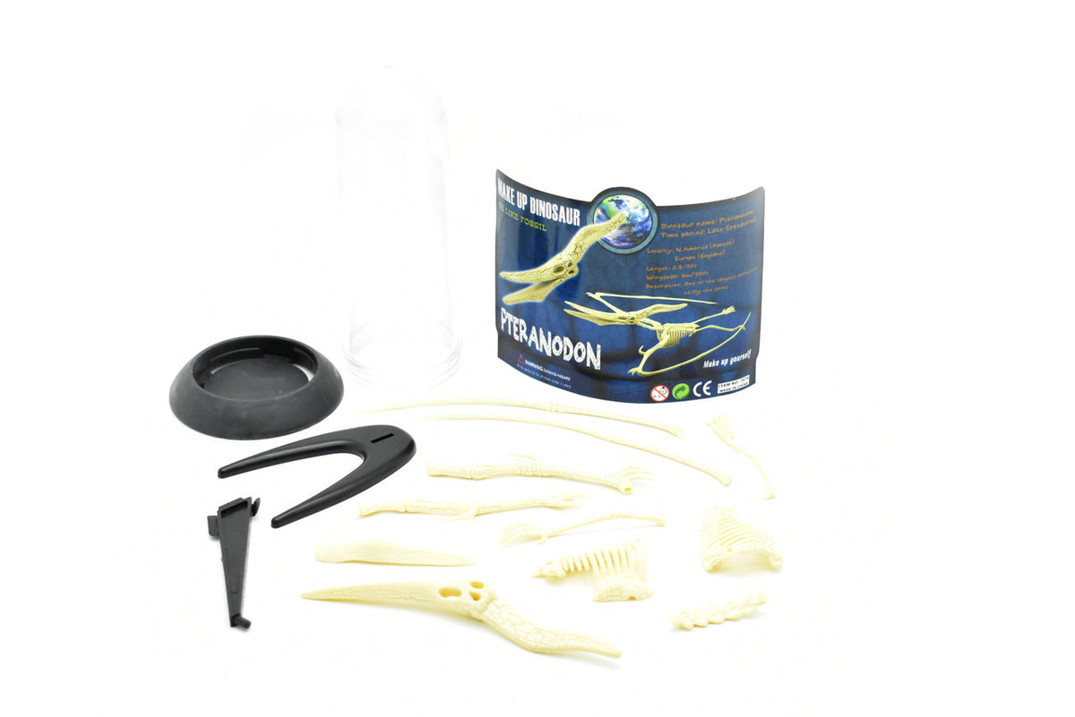 Pteranodon Dinosaur, Plastic Skeleton Model with Stand   10"  -  F1807 B312