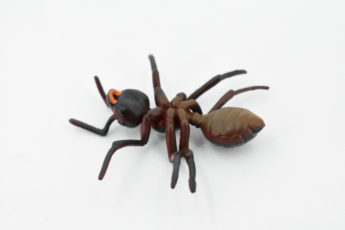 Red Fire Ant, Ginger ant, Very Nice Design, Educational, Hand Painted, Realistic Rubber Insect, Toy Figure, Diorama Model, Kids, 3 Inches. 