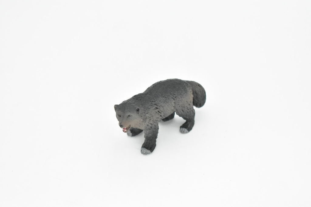 Wolverine, Gulo gulo, Museum Quality, Educational, Rubber Animal, Hand Painted, Realistic, Diorama Model, Toy, Kids, 3 Inches.