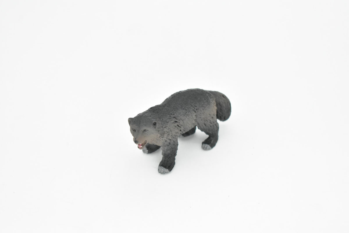 Wolverine, Gulo gulo, Museum Quality, Educational, Rubber Animal, Hand Painted, Realistic, Diorama Model, Toy, Kids, 3 Inches.