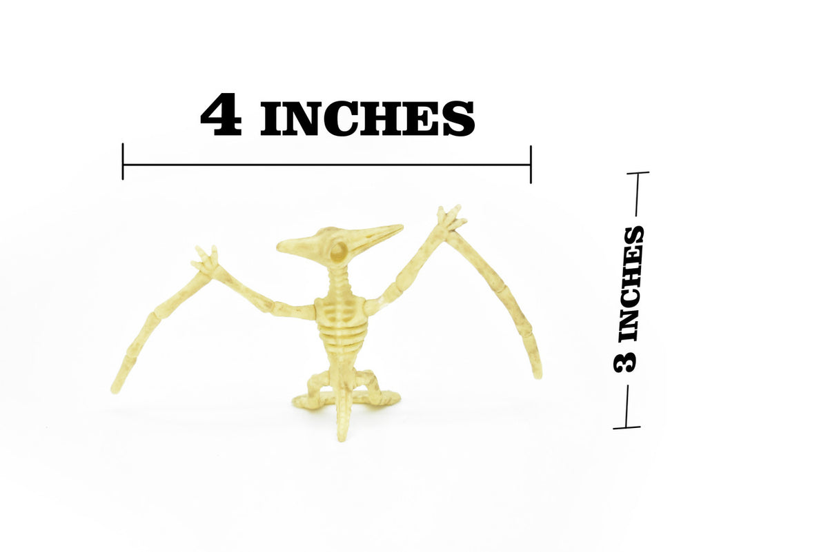 Pteranodon Dinosaur, Skeleton, Very Nice Plastic Replica    4"    F3285 B61