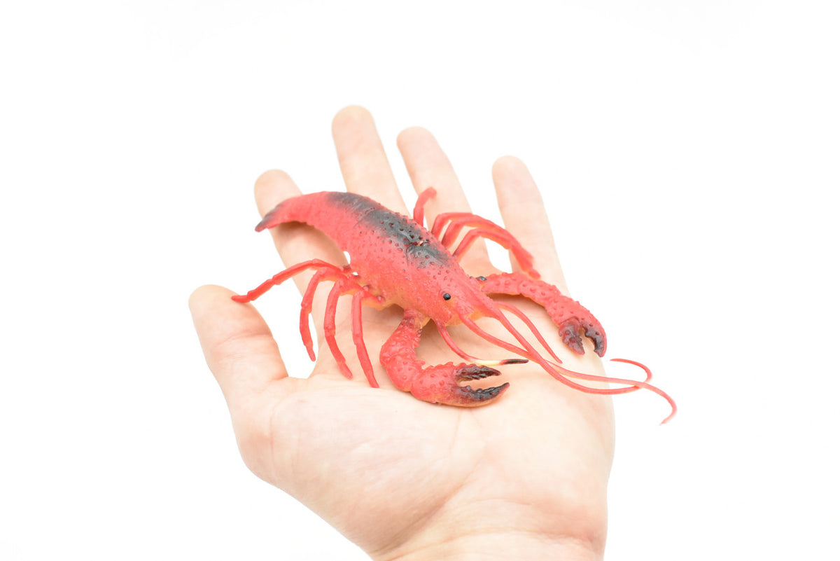 Lobster, Crayfish, Crawdad Design, Red, Rubber Crustaceans, Educational, Figure, Lifelike, Model, Replica, Gift,     7"       F1947 B173
