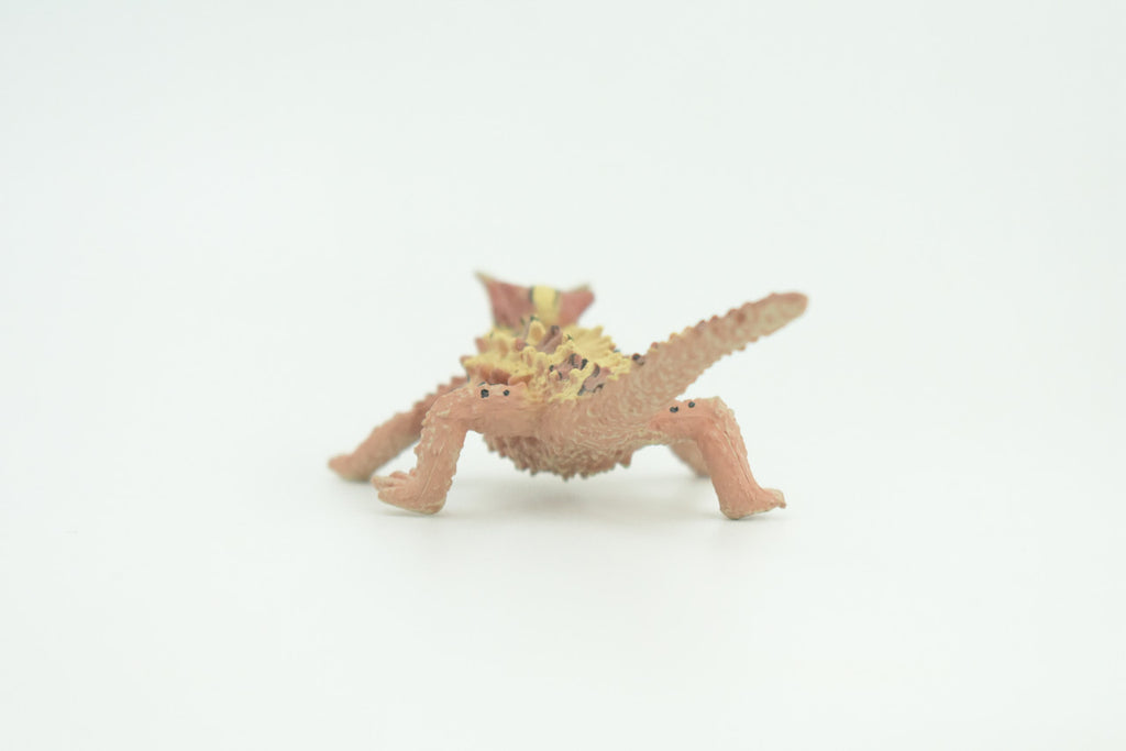 Thorny Dragon, Devil Lizard, Museum Quality, Educational, Hand Painted, Rubber Reptile, Toys,  Kids, Gift,     4 1/2 Inches.   CH730 BB184