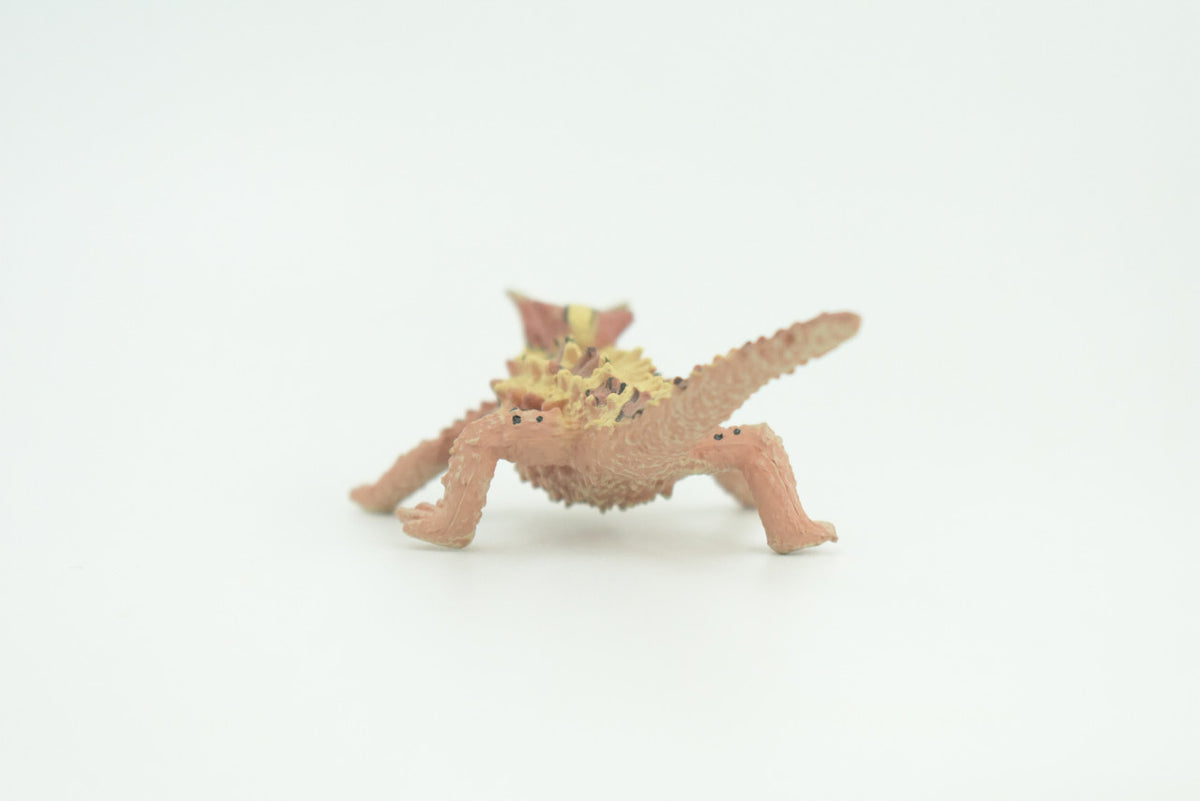 Thorny Dragon, Devil Lizard, Museum Quality, Educational, Hand Painted, Rubber Reptile, Toys,  Kids, Gift,     4 1/2 Inches.   CH730 BB184