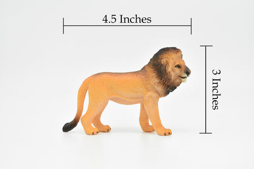 African Lion, Male, King of the African savanna, Museum Quality, Hand Painted, Plastic Animal, Educational, Realistic, Diorama Model, Toy, Kids,  4 1/2 Inches.  