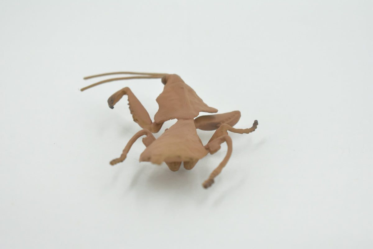 Praying Mantis, Deroplatys, Dead leaf mantis, High Quality, Rubber Insect, Educational, Realistic, Figure, Replica, Toy, Kids, Educational, Gift,      3"     CH639 BB168