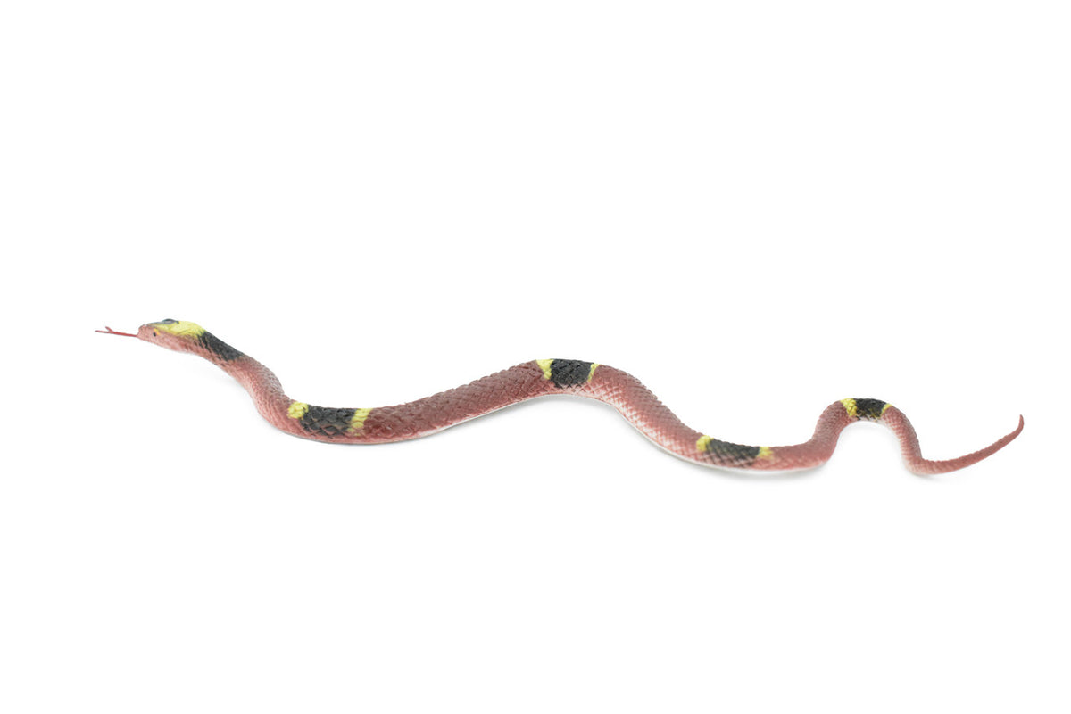 Snake, Red Spitting Cobra, Rubber Reptile, Educational, Realistic Hand Painted, Figure, Lifelike Model, Figurine, Replica, Gift,      10"       F2086 B142